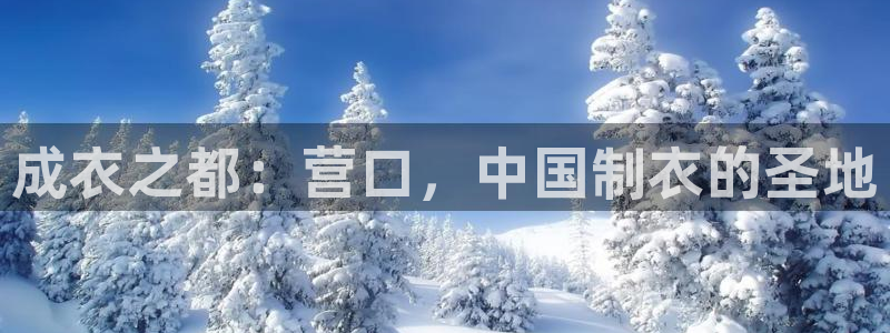 天辰娱乐总管