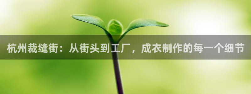 天辰娱乐39596