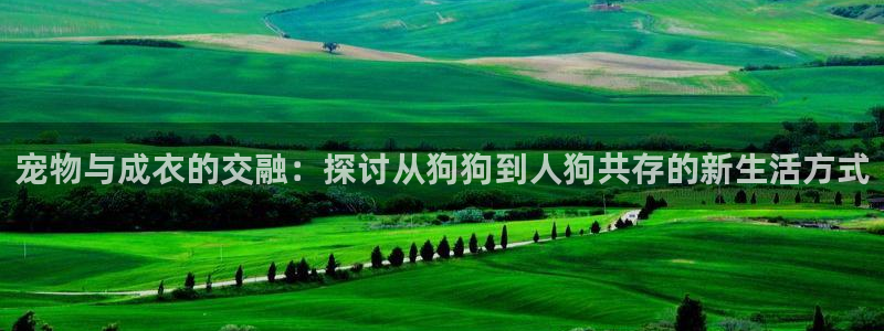天辰娱乐44516