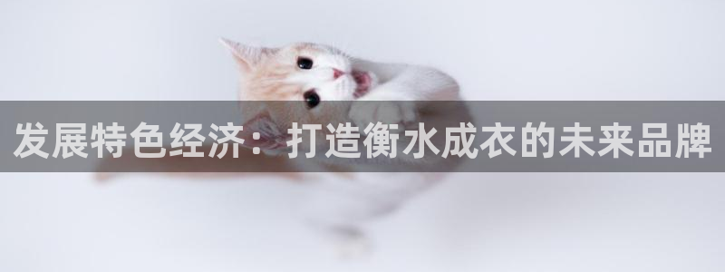 天辰娱乐 首选