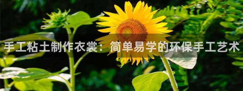 天辰娱乐黑人