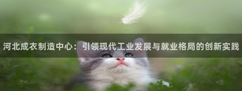 天辰app娱乐