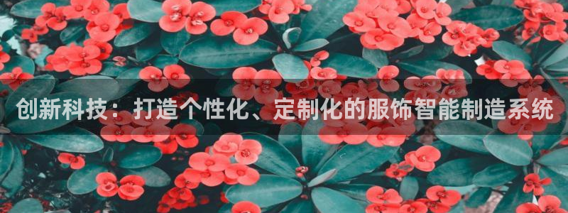 天富娱乐天辰娱乐