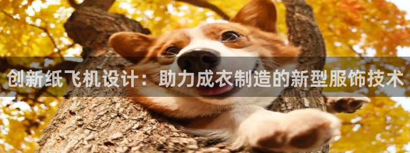 天辰娱乐怎么样