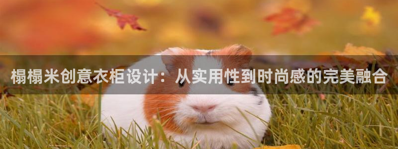 天富娱乐与天辰娱乐