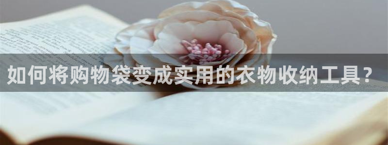 天辰娱乐入口