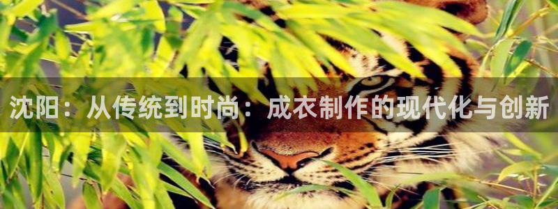 天辰娱乐内部