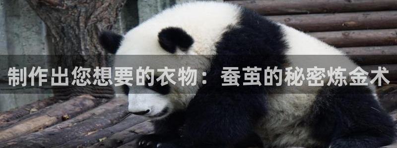 天辰天辰娱乐