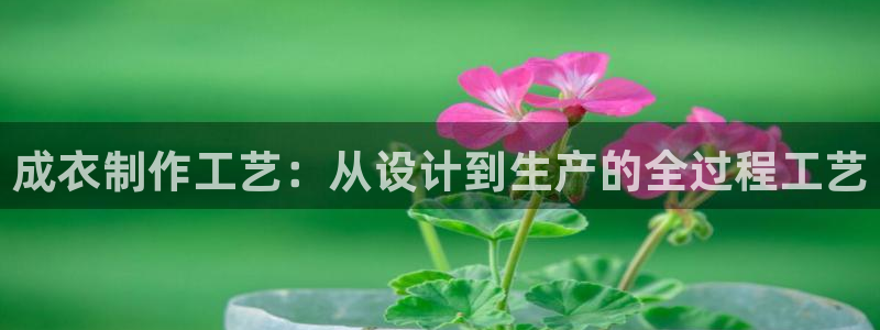 天辰娱乐总管