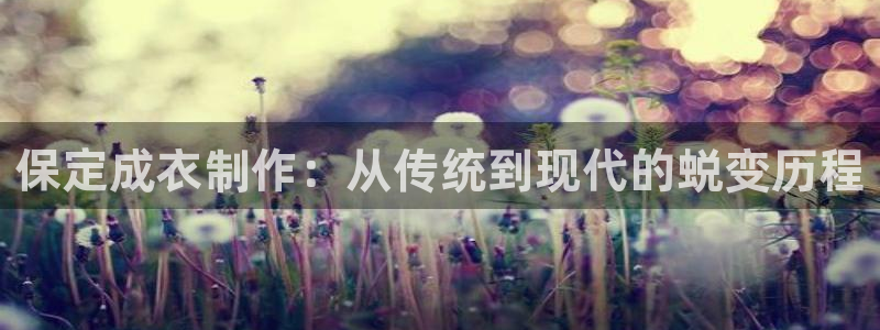 天辰娱乐平台注册