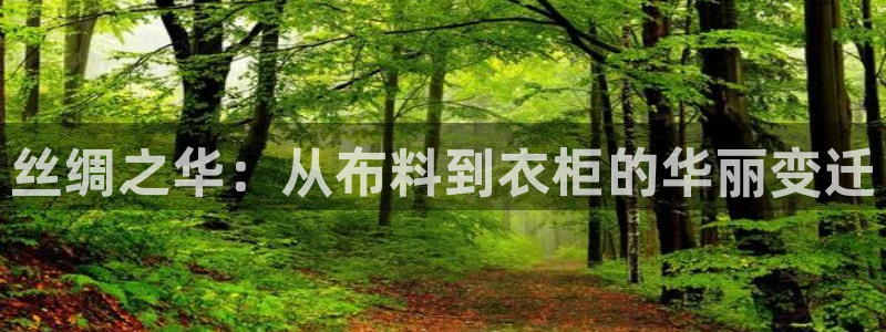 天辰臣娱乐