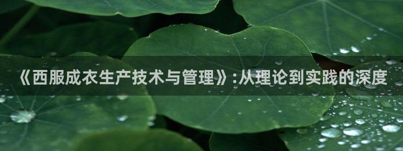 天辰娱乐海洋