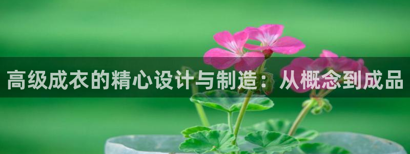 天辰娱乐直属