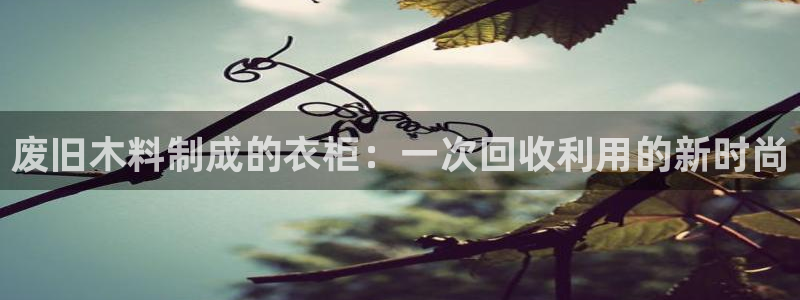 天辰娱乐best
