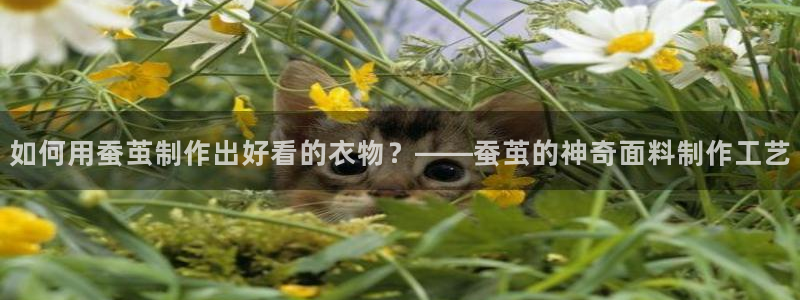天辰娱乐鱼刺
