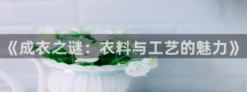 天辰娱乐1996