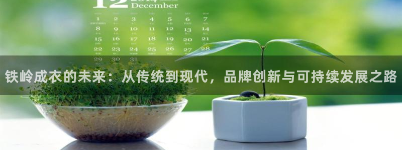 天辰娱乐平台地址