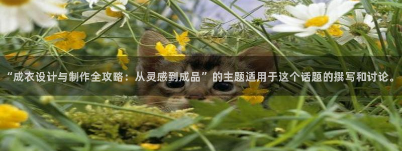 天辰娱乐登陆平台