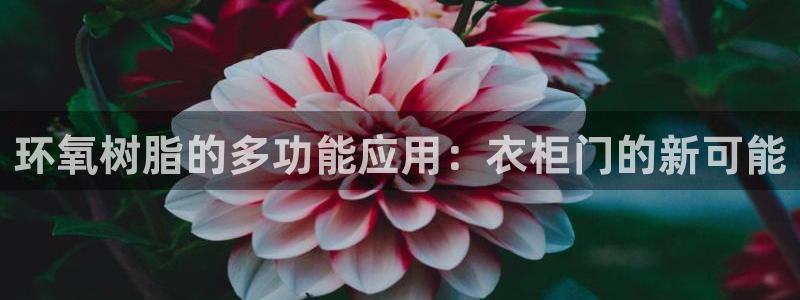 天辰娱乐十分彩