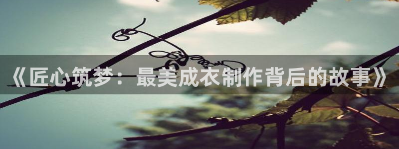 天辰娱乐下载链接