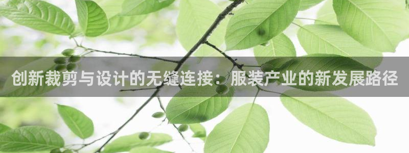 天辰娱乐直属