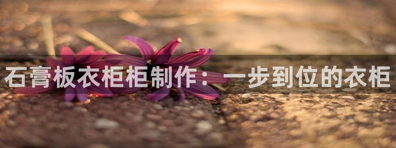 天辰 娱乐