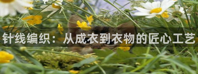 天辰娱乐957807