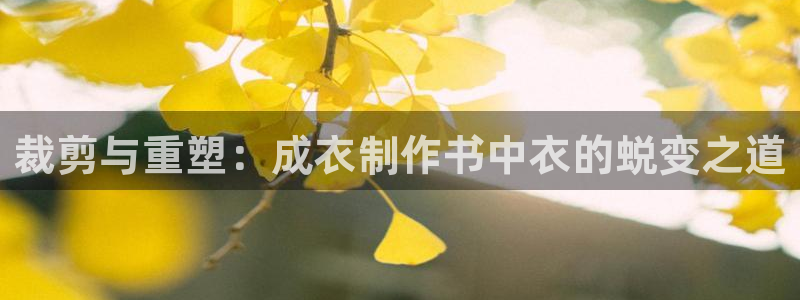 天辰娱乐登陆平台