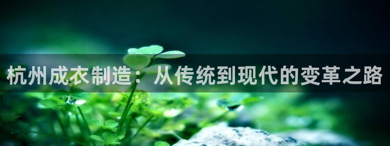 天辰娱乐1980