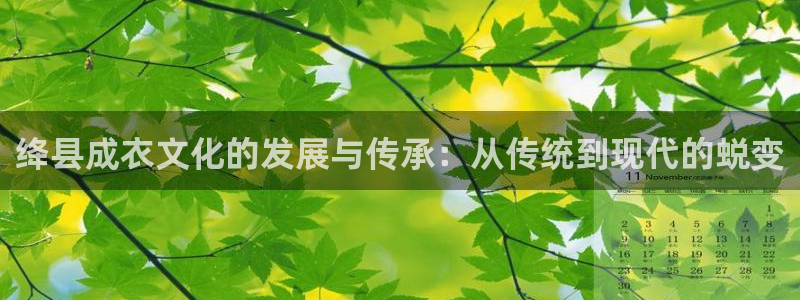 集宁天辰娱乐