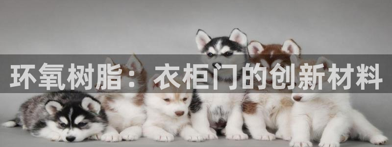 天辰娱乐官