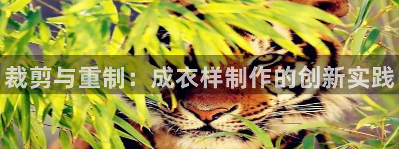 天辰娱乐挂机