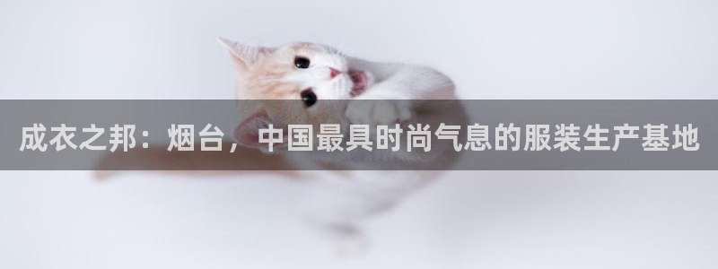 天辰娱乐内部