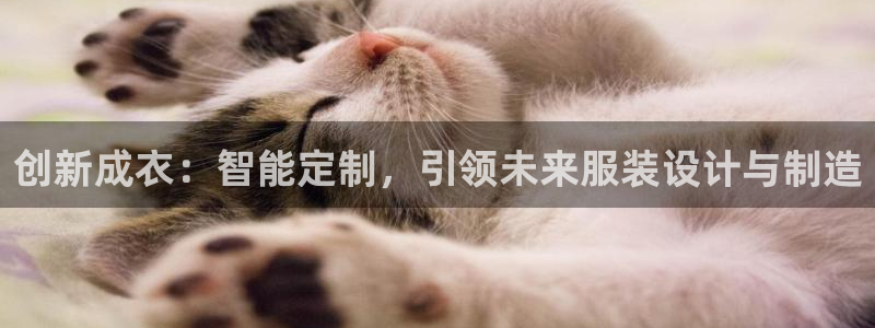 手机上怎么下载天辰娱乐