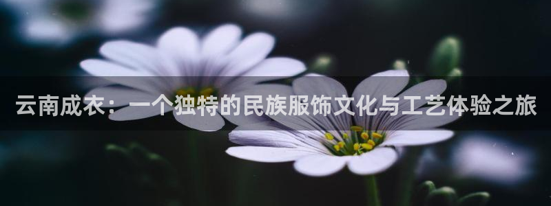 天辰娱乐 主管