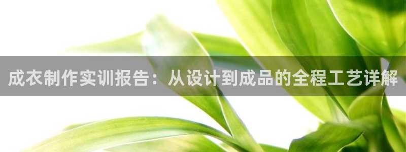 天辰娱乐1980