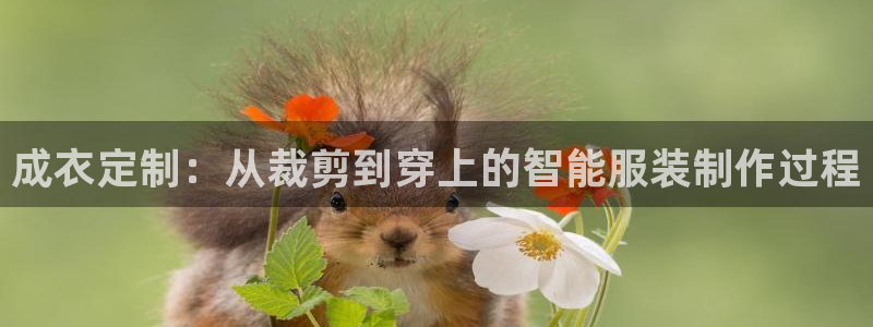 南京天辰娱乐