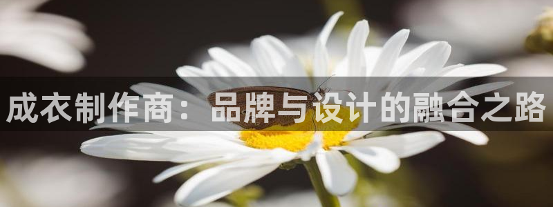 天辰娱乐675138